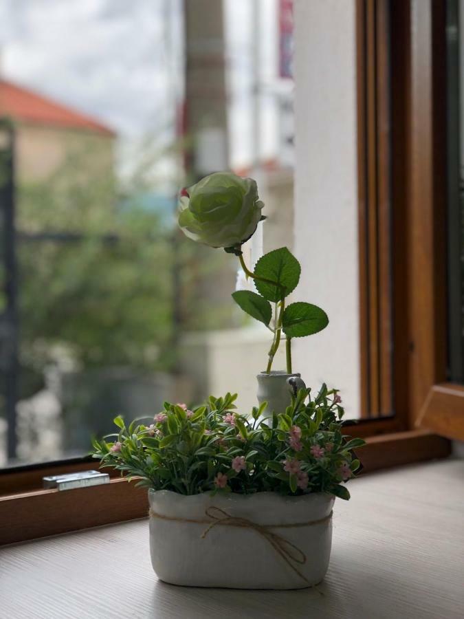 Studio Apartment In Old Town- With Parking 莫斯塔尔 外观 照片